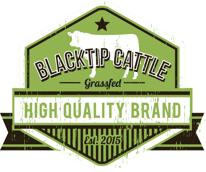 Blacktip Logo